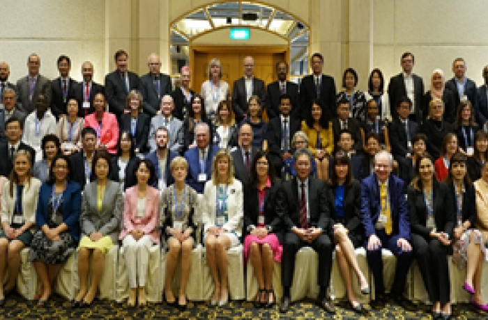 Asamblea del Consejo Internacional de Armonización de los Requerimientos Técnicos para Medicamentos de uso Humano (ICH)