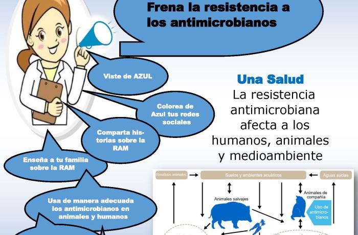 Semana mundial de concientización